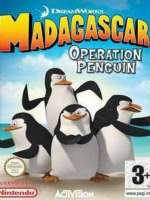 马达加斯加的企鹅