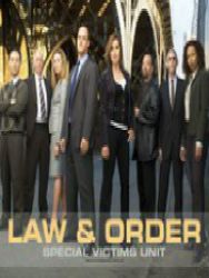 法律与秩序：特殊受害者第十五季