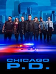 芝加哥警署第七季